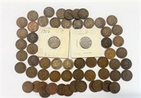 HUGE lot of Indian Head pennies