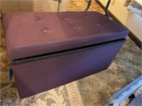 Purple Storage padded box