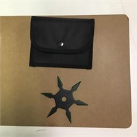 Stainless steel throwing star
