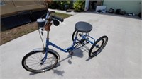 Blue Miami Sun Trike 27"