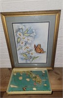 Butterfly Picture and Florida Shell Collection Box