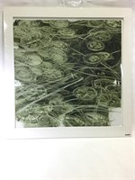 Kim Zarney Original Painting "Lily Pads"