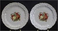 (2) Vitreous Porcelain Plates with Fruit and Berry