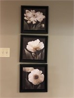 Set of 3 Framed Prints of  Flowers