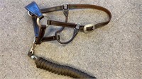 Leather Horse Halter Full size w/lead