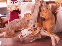 Taxidermy mount of a pair of red squirrels on a