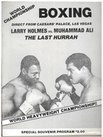 Sugar Ray, Muhammad Ali Programs