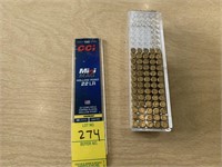 .22 LR HP (65 rounds)