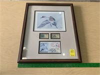 Framed Duck Stamps (Mexico)