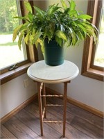 Plant and plant stand, 18 inches by 20 inches