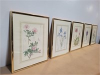 5 Various Gold Framed Flower Pictures 8 1/4inWx