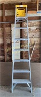 Davidson 8' Ladder