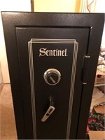 Sentinel Safe