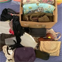Purse and Accessories Lot