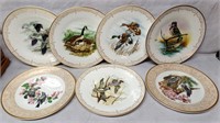 7 Boehm Woodland Birds of America Porcelain Plates
