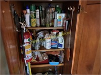 Kitchen Cabinet Contents - Cleaning Supplies, Misc