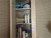 Contents in Bathroom Cabinet