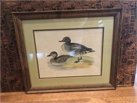 TEAL Duck Portrait - Framed