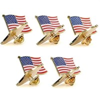 10 Piece American Flag Pins