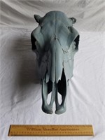 Cow Skull