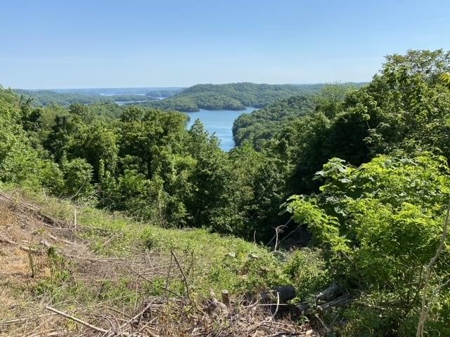 7.37+-Acres, Dale Hollow Lake View, Woodland