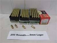 (250 Rounds) Remington and Federal 9mm Luger