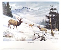 Elk In the Foothills 16.5x23 Signed Artist Proof