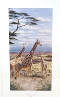 Giraffes in Serengeti Rick Kelley 11x21.25 6/950