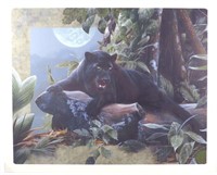 Midnight Moment-Black Panther Kevin Daniel Signed