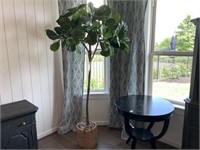 FAUX FIG TREE