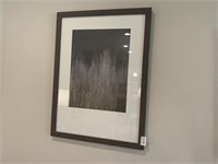 FRAMED PRINT