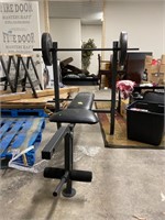 Life Max workout bench with weights