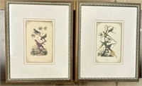 Pair of Decorator Bird Prints