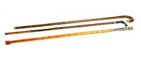 Three Bamboo Walking Stick Canes