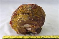 Petrified Wood