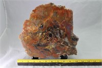 Arizona Petrified Wood