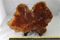 Arizona Petrified Wood