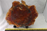 Arizona Petrified Wood