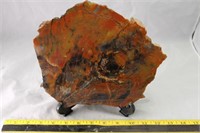 Arizona Petrified Wood