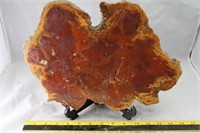 Arizona Petrified Wood