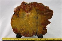 Arizona Petrified Wood