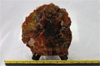 Arizona Petrified Wood