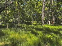 Offering # 3 - 0.88 Acre
