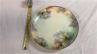 Imperial Austria hand painted plate 12 inches