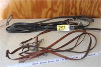 Horse bridle and bit with reins
