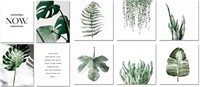 10PCS BOTANICAL PRINTS WALL DÉCOR