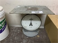 Salter 50kg Capacity Scales