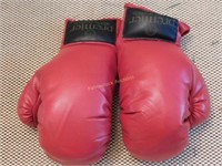 Premier boxing gloves