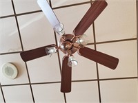 (3x) Ceiling Fan Light