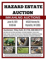 Hazard Auction Adv